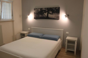 B&B Color Rovereto Rovereto